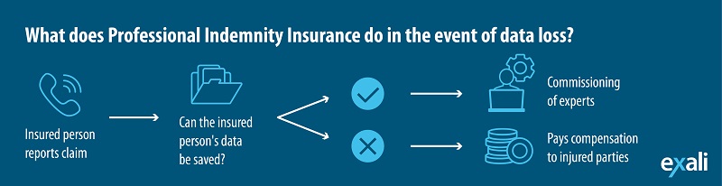 What does professional indemnity do in case of data los? Can data be restored? Then experts try to do so. If not the damage will be paid.