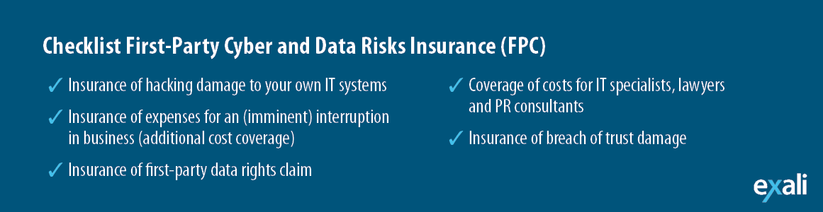 Checklist Cyber Risiks