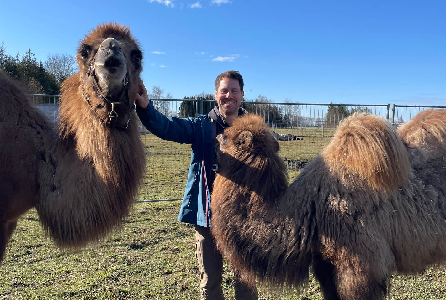 exali bei der Kameloase