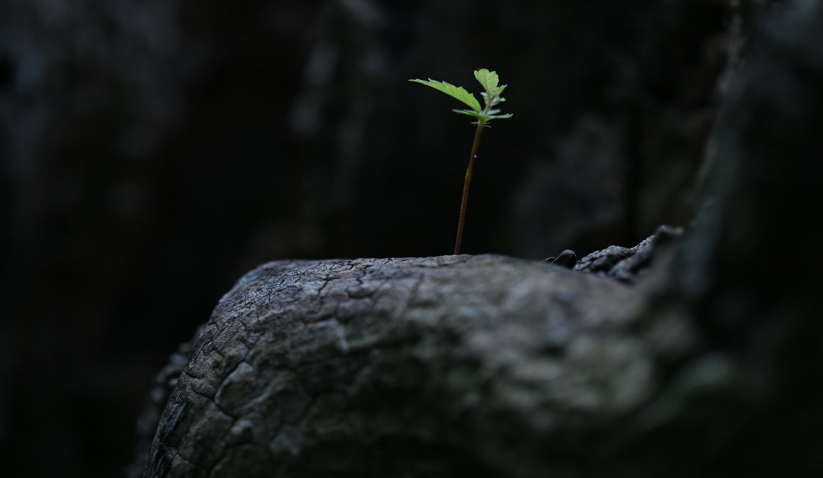 Self-Assessment for Entrepreneurs: Qualities You Need To Run a Business Self-Assessment for Entrepreneurs: Qualities You Need To Run a Business